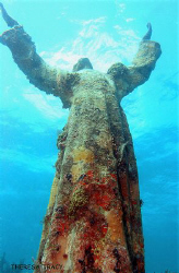 Christ of the Abyss statute on Dry Rocks Reef, Key Largo. by Theresa Tracy 